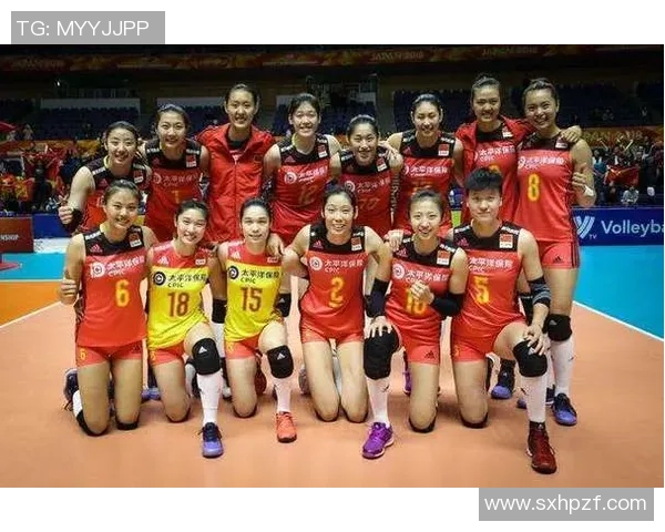 对话刘伟：回顾辉煌排球生涯与未来展望的深度交流