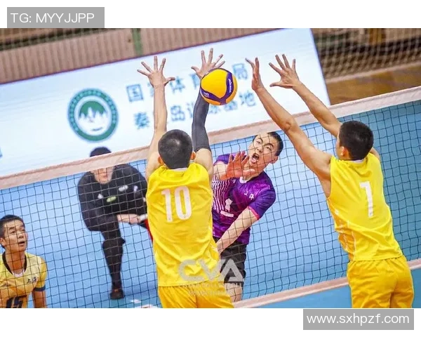 上海排球队创历史新高展现排球耐力实力引领全国潮流