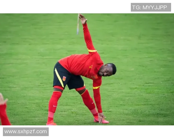 荷南足球明星的辉煌历程与成就揭秘你知道多少关于他们的故事