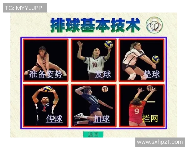 成都排球队在排球战术排行榜中荣获第六名的辉煌成就分析