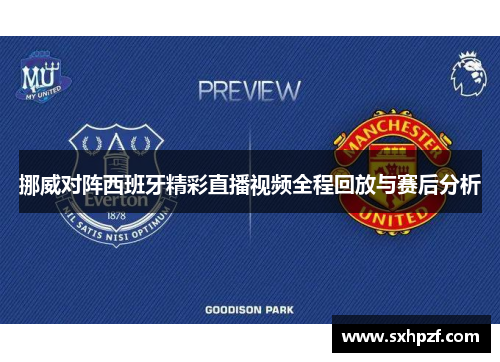 挪威对阵西班牙精彩直播视频全程回放与赛后分析